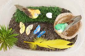 Sensory bins toddler activities fine motor activities for kids sand play infant activities screen free activities baby learning. Birds Butterflies Nature Preschool Sensory Bin Idea