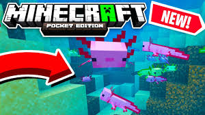 We did not find results for: How To Get The Axolotl In Minecraft Pe 1 17 Early Update Mcpe Win10 Xbox Ps4 Switch Youtube