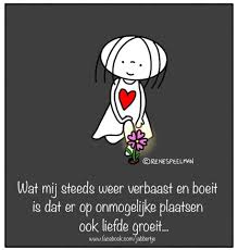Love on the first sight. Ware Liefde Zegnooitnooit