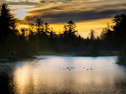 lookout Point aDam berger