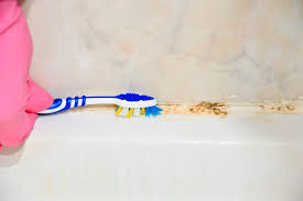 bathroom that smells like mildew