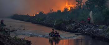 Respondents may skip answers or quit in the middle of a survey. Indonesia Takes Action But Forest Fires Continue Earth Journalism Network