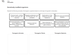 Transgenic organism synonyms, transgenic organism pronunciation, transgenic organism translation, english dictionary definition of transgenic organism. Solved Classify The Following Examples Of Transgenic Orga Chegg Com