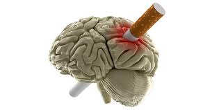 How long does it take to shrink your liver. Smoking Can Shrink Your Brain Liver Doctor