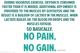 Pin On Crossfit