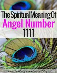 Reflective Numerology Life Path Friends Capricorn Numerologypredictions Numerologylifepath Numerology Numerology Chart Angel Number 1111