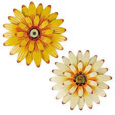 Picfarce pink metal flower wall art decor, 11 rustic modern floral sculpture, distressed hanging home decoration accent artworks for indoor juegoal 2 pack 16 large metal flowers wall art inspirational daisy wall decor sunflower hanging for indoor outdoor home bedroom living room. Buy Juegoal 2 Pack 16 Large Metal Flowers Wall Art Inspirational Daisy Wall Decor Sunflower Hanging For Indoor Outdoor Home Bedroom Living Room Office Garden White Yellow Online In Indonesia B08rsgyh5c