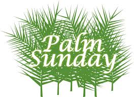 Stack of books clipart 18. Palms For Palm Sunday Clipart