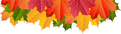 We did not find results for: Download Fall Leaf Png Border Download Fall Leaves Border Png Png Image With No Background Pngkey Com