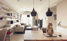 Pet furniture 5 comments 1. We Answer 5 Top Litter Box Placement Questions Modkat