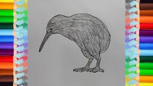Browse 2,116 kiwi bird stock photos and images available, or search for kiwi bird vector or kiwi bird icon to find more great stock photos and pictures. How To Draw A Kiwi Bird Step By Step Bird Drawing Easy