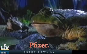 Check spelling or type a new query. Snl Mock Network Super Bowl Coverage And Big Game Commercial Politics Eminetra Co Uk