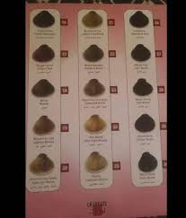 We did not find results for: Salon Miral Catalogue Laureate Facebook