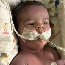 Fundraiser for Elizabeth Hackney by Heather Nadeau : Support Elizabeth and  Chris After Tragic Loss