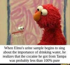 When Elmo S Urine Sample Beglns To Sing About The Imponance Of Dunking Water He Realizes Hat The Cncalne He Gol From Tampa Was Probably Less Than 100 Pure Sesame Street Memes Dark Humour Memes Elmo Memes