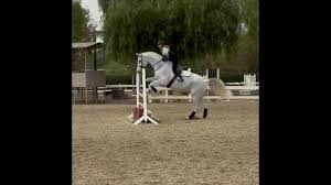 Image result for Emilia libeniana