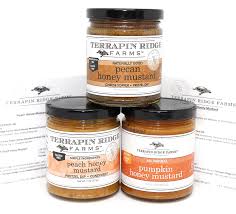 Mix together mustard, honey and vinegar. Buy Terrapin Ridge Farms Honey Mustard Gourmet Sampler Pack Set Of 3 Jars With Recipe Cards Pecan Honey Mustard Peach Honey Mustard Pumpkin Honey Mustard Online In Hong Kong B079s89tqf