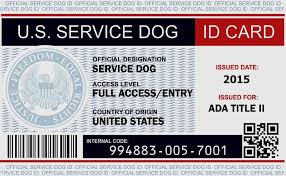 Online Registration Form Service Dog Registry Register Your Dog Here Service Dogs Service Dog Registration Service Dog Vests