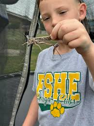 There have been an abundance of grasshoppers this year and they seem to be  getting bigger every year. This dude was about 4cm. 😀