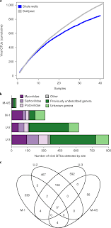 Viruses Control Dominant Bacteria Colonizing The Terrestrial