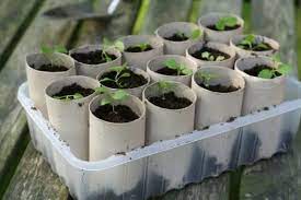 13 Useful Toilet Paper Tube Hacks Garden Ideas Cheap Toilet Paper Roll Toilet Paper Tube