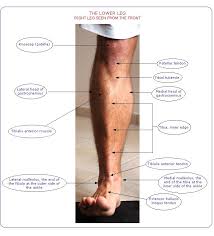 Soft Lump On Shin When Flexing