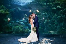 Weddingritz have 20 years of experience in korea pre wedding field that provide high quality customized photography package services to overseas customers with offering the lowest price pre wedding photoshoot. A Wedding At The Florida Aquarium Lifelongphotographystudio Com