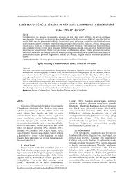 Pdf Pigeon Breeding Columba Livia In Turkey From Past To Present