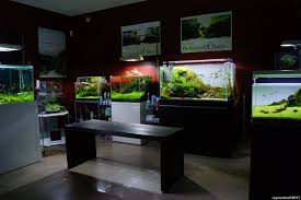 Simon S Aquascape Blog Aquarium Shop Fish Gallery Aquascape