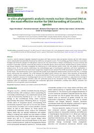 Image result for Cucumis sacleuxii