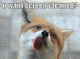 That time when you needed my help but i wouldn't do it. Animal Comedy Clean Animal Comedy Animal Comedy Funny Animals Animal Gifs Cheezburger