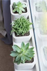 All that remained was to fill up the concrete planters with succulents. 20 Best Diy Concrete Planters Tutorials For 2021 Crazy Laura