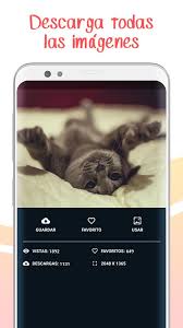 Animación cuando desbloqueas el teléfono o cambias de pantalla en el launcher. Fondos De Pantalla Chidos Wallpapers Graciosos For Android Apk Download