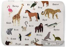 This time, have them glue each box down in a long row to make an alphabet . Alphabet Animal Chart Set For Kids Bath Mat Pixers We Live To Change