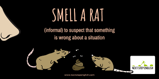 Mouse Rat Idioms 9 Great Idioms With Meanings And Examples Nextstepenglish Com Advanced English Vocabulary English Vocabulary Words Idioms