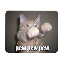 New 2016 Funny Cats Mousepads Do You Love Cats Then You Will Love This Cute And Crazy Cat Meme Photo Mous Funny Animals Funny Cat Pictures Cute Funny Animals