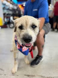 Guardians of Florida...