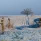 Yellow Belly Ultra 50 - Winter event image