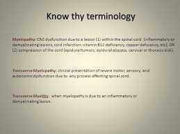 It results from damage to nerve cells in a certain area. Acute Transverse Myelitis Ppt Video Online Download