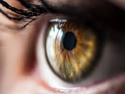 Check spelling or type a new query. The Eyes Have It For High Blood Pressure Clues American Heart Association