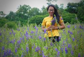 Sebenarnya banyak sekali jenis bunga anggrek, namun di video kali ini hanya menampilkan 15 jenis bunga anggrek saja.daripada penasaran. Hamparan Bunga Lavender Yang Mengagumkan Di Timor Tengah Selatan Pengagum Sunyi