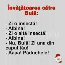 Paduche Some Jokes Funny Memes Really Funny