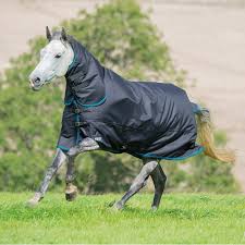 Shires Tempest Plus Heavyweight 300g Combo Turnout Rug