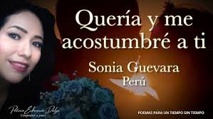 QUERÍA Y ME ACOSTUMBRÉ A TI Sonia Guevara Castillo