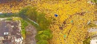 Last updated 2 months ago. Seven Arrested For Various Offences In Bersih 5 Demonstration The Online Citizen Asia