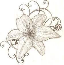Black And White Lily Flower Tattoo Outline Lily Flowers Drawings Tiger Lily Tattoo Designs Tattoo Design Tiger Lily By Lguest On Lily Flower Tattoos Tiger Lily Tattoos Lily Tattoo Design