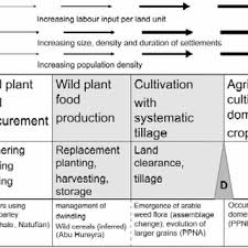 Check spelling or type a new query. Pdf Recent Lessons From Near Eastern Archaeobotany Wild Cereal Use Pre Domestication Cultivation And Tracing Multiple Origins And Dispersals