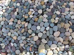 Rock ground cover includes an assorted selection of decorative gravel, river rocks, and mexican beach pebbles. Mixed Colors Beach Pebble Direct Quarry Landscape Supply