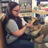 Strong expertise in both dogs and cats. All Pet Supplies Equine Center 2845 W Kearney St Springfield Mo Pet Supplies Mapquest