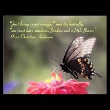 Butterfly Quotes Read By Butterfly Girls Butterfly Quotes Beautiful Butterflies Quotes Butterfly
